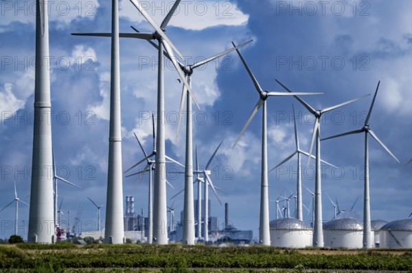 Wind farms Westereems and Growind, in the north of the Netherlands, near Eemshaven, energy centre, in addition to wind energy there are coal and gas-fired power plants and various energy infrastructure facilities, Netherlands