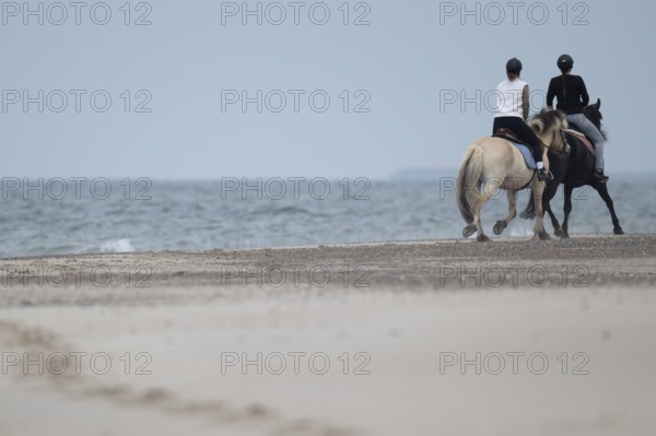Two riders on the beach, near Hvide Sande, North Sea, Denmark