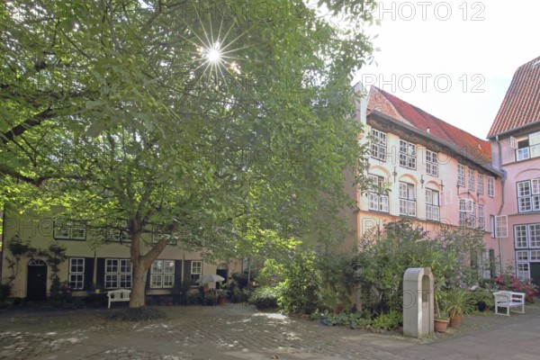 Idyllic Füchtingshof in backlight and flower decoration, plants, flowers, backyard, courtyard, corridors, courtyards, Glockengießerstraße, old town, Lübeck, Schleswig-Holstein, Germany