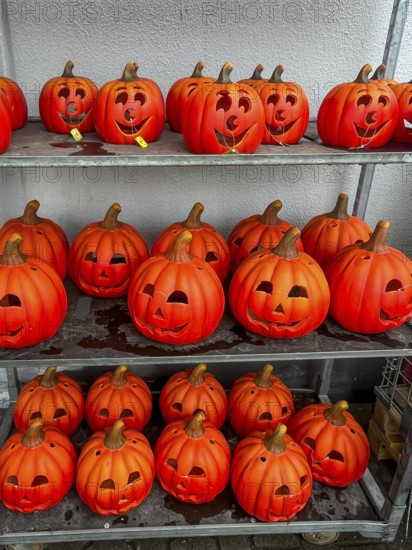 Mülheim, North Rhine-Westphalia, Germany - Decorative pumpkins for Halloween on 31 October were already on sale in a shop at the beginning of August