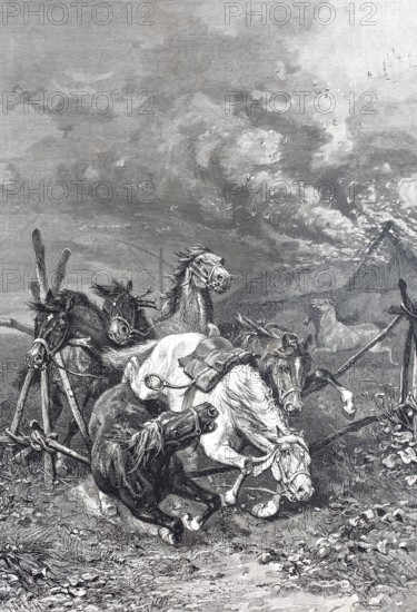 Horses fleeing from a fire at a farmstead in the Hungarian Puszta, Hungary, digitally restored reproduction of an old original, historical, exact date unknown