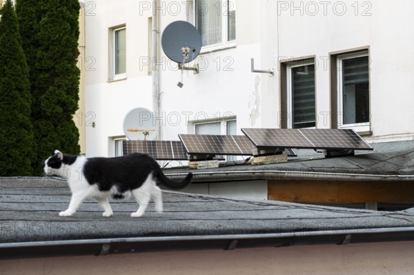 Solar panels on the roof of an extension in Wuppertal, Germany
