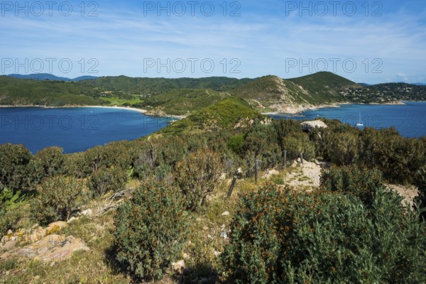Picturesque hiking trail on the coast, Sentier du littoral, Plage Ranc, Cap Taillat, Saint Tropez, Var, French Riviera, Provence-Alpes-Cote d'Azur, Cote d Azur, France