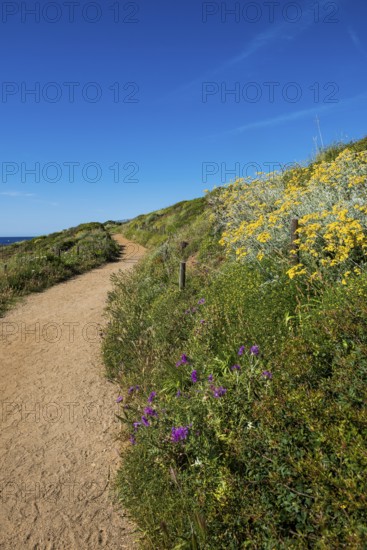 Picturesque hiking trail on the coast, Sentier du littoral, Cap Taillat, Saint Tropez, Var, French Riviera, Provence-Alpes-Cote d'Azur, Cote d Azur, France