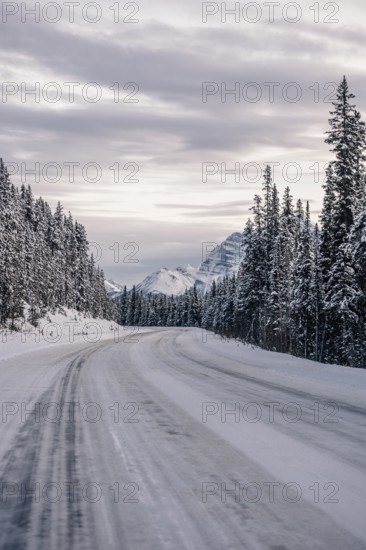 Winter road trip on the Icefields Parkway with lots of snow and ice, Banff National Park, Jasper National Park, Alberta, Canada