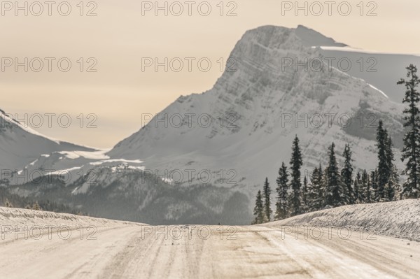 Winter road trip on the Icefields Parkway with lots of snow and ice, Banff National Park, Jasper National Park, Alberta, Canada