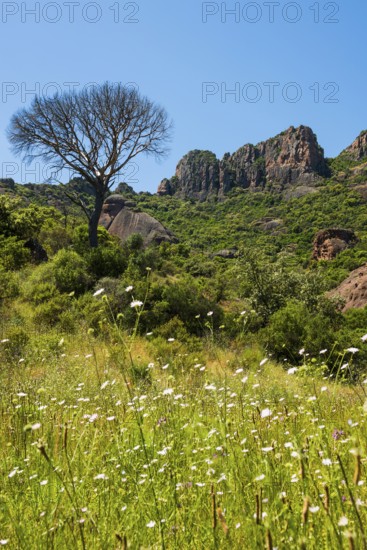 Rocher du roquebrune, Roquebrune-sur-Argens, near Saint-Raphaël, Massif de l'Esterel, Esterel Mountains, Département Var, Cote d'Azur, Provence-Alpes-Côte d'Azur, France
