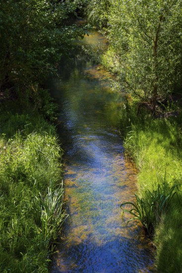 Recklinghausen, North Rhine-Westphalia, Germany - Renaturalised Hellbach, renaturalised watercourse, the Hellbach is now free of wastewater after the construction of a parallel sewer, is part of the Emscher river system and thus part of the Emscher conversion, was previously an open, above-ground wastewater channel, mixed water channel with surface water and wastewater. The renaturalised Hellbach stream strengthens the city's climate resilience, promotes biodiversity and helps to mitigate urban warming caused by climate change