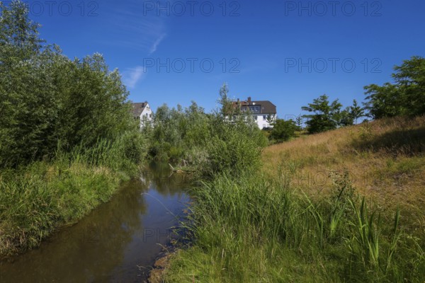Recklinghausen, North Rhine-Westphalia, Germany - Renaturalised Hellbach, renaturalised watercourse, the Hellbach is now free of wastewater after the construction of a parallel sewer, is part of the Emscher river system and thus part of the Emscher conversion, was previously an open, above-ground wastewater channel, mixed water channel with surface water and wastewater. The renaturalised Hellbach stream strengthens the city's climate resilience, promotes biodiversity and helps to mitigate urban warming caused by climate change