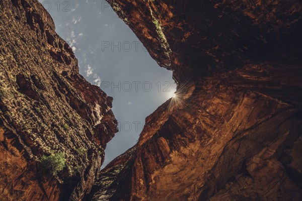 Bungle Bungle Range, Outback, hiking in Australia in high heat, Western Australia, Australia