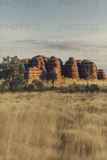 Bungle Bungle Range, Outback, hiking in Australia in high heat, Western Australia, Australia