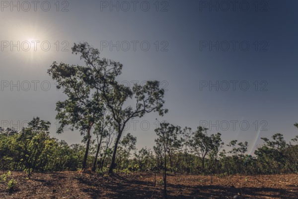 Bushfires in the Australian outback