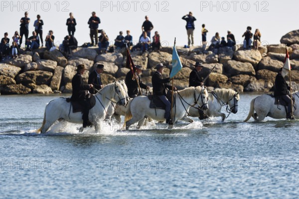 Guardians of the Camargue, traditional shepherds riding through water, rider on Camargue horse, pilgrimage, procession by the sea, Saintes-Maries-de-la-Mer, Camargue, France