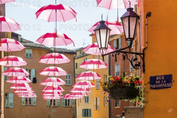 Picturesque alley in the old town, Grasse, Alpes Maritimes, Provence Alpes Cote d'Azur, French Riviera, South of France, France