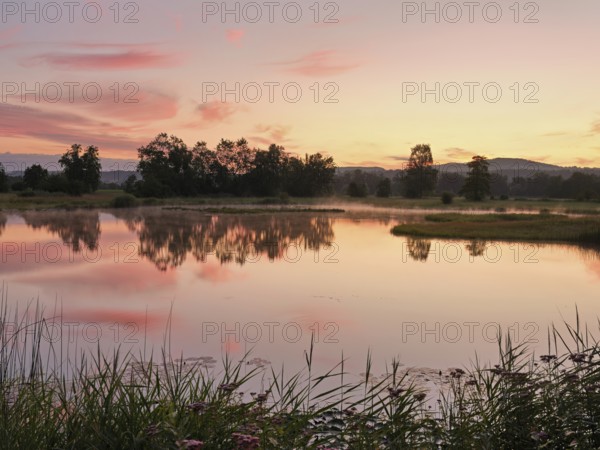 Morning atmosphere at a pond in the Schoren nature reserve, Mühlau, Freiamt, Canton Aargau, Switzerland