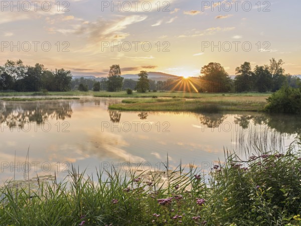 Sunrise at a pond in the Schoren nature reserve, Mühlau, Freiamt, Canton Aargau, Switzerland