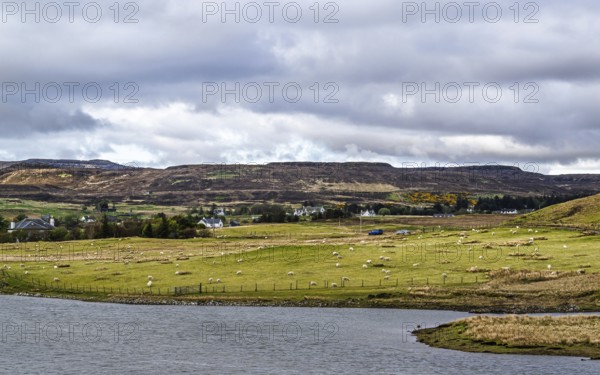 Farms over Loch Harport, Drynoch, Isle of Skye, Scotland, UK