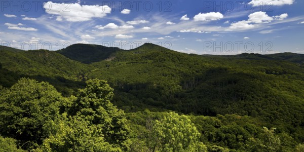 Siebengebirge, low mountain range on the right bank of the Rhine, Königswinter, North Rhine-Westphalia, Germany