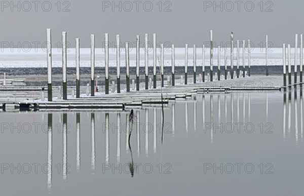 Winter day, onset of winter, snow on the jetties in the marina, North Sea, Norddeich, Lower Saxony, Germany