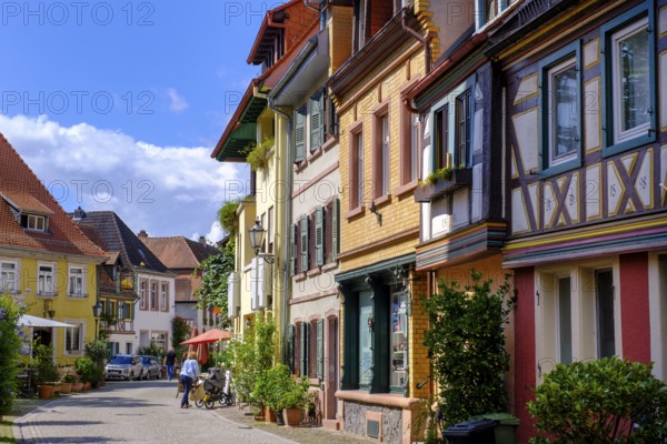 Kirchenstraße, half-timbered houses in the old town centre, Ladenburg, Rhine-Neckar district, Baden-Württemberg, Germany