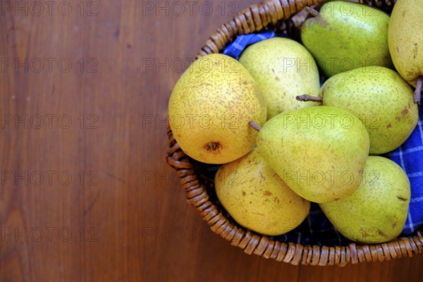 Pala pear, pears, Vinschgau, South Tyrol, Italy