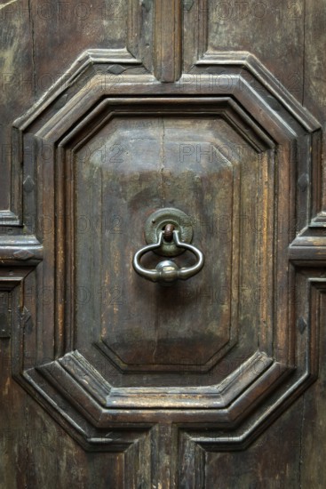 Intricate details on a weathered wooden door featuring an ornate, vintage knocker. The craftsmanship highlights the beauty of traditional architecture in an urban environment