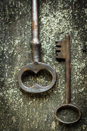 Two antique keys with intricate designs are placed on a textured wooden background. Natural light enhances their rusted appearance, revealing the passage of time and history