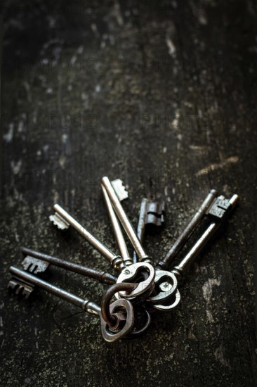 A collection of vintage keys is arranged on a rustic wooden surface. The dark background emphasizes the keys' intricate details, creating a nostalgic and mysterious ambiance