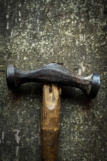 Close-up view captures the heavy hammer resting on a wooden surface, highlighting the tool's craftsmanship and the rich texture of the wood, essential in woodworking tasks