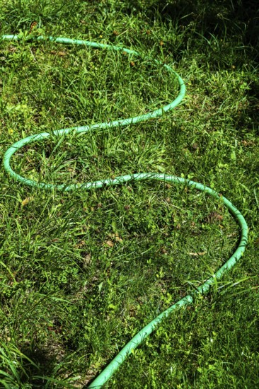 A vibrant green garden hose winds through a patch of fresh grass in a well-maintained outdoor space, illuminated by the warm sun above during afternoon hours