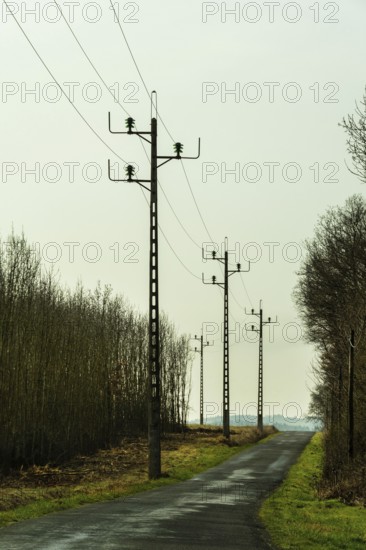 Tall power lines line a narrow, secluded road surrounded by bare trees. The overcast sky creates a moody atmosphere. The scene evokes a sense of tranquility and isolation in nature. France