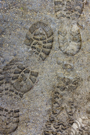Fresh footprints are visible on a sandy trail, suggesting recent human activity in a natural environment. The surrounding area shows a mix of dirt and sand textures, indicating a popular walking path
