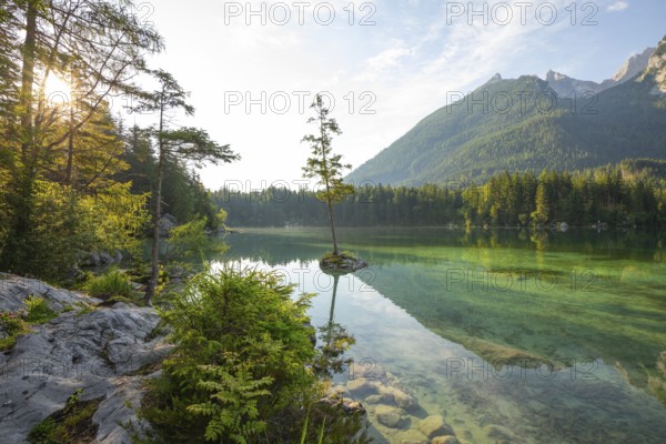 Summer morning at Hintersee near Ramsau in Berchtesgadener Land with sun star and reflection. The Hochkalter in the background