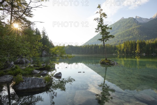 Summer morning at Hintersee near Ramsau in Berchtesgadener Land with sun star and reflection