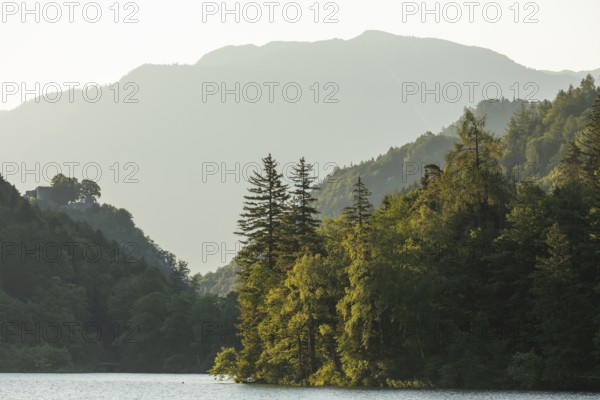 Sunrise in summer at Lake Thumsee near Bad Reichenhall. With a view of the Karlstein castle ruins