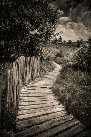 A winding wooden path leads through lush greenery, framed by a rustic wooden fence. The sky is filled with clouds, casting a serene atmosphere over the landscape. Puy de Dome. Auvergne Rhone Alpes. France