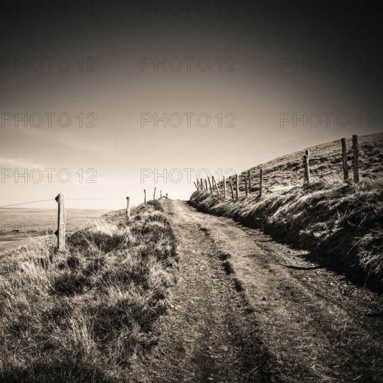 A dirt path leads through the tranquil countryside of Cezallier, with rolling hills and wooden fences lining the route. Puy de Dome. Auvergne Rhone Alpes. France