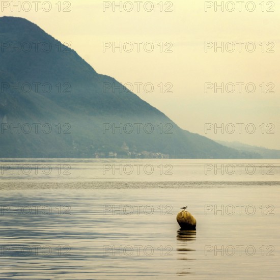 A buoy bobs gently on the calm waters of Lake Geneva, surrounded by serene mountains. The early morning light casts a soft glow, enhancing the peaceful atmosphere of this beautiful Swiss landscape. Switzerland