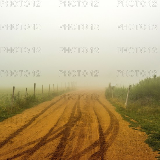 A dirt road winds through a dense fog in Auvergne, France, creating a mystical atmosphere. The landscape is quiet, with soft tones blending into the misty surroundings. Puy de Dome. Auvergne Rhone Alpes. France