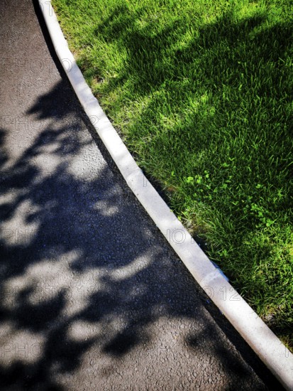 A smooth, dark asphalt path curves alongside vibrant green grass, creating a tranquil atmosphere. Natural light casts delicate shadows of nearby trees, enhancing the serene setting