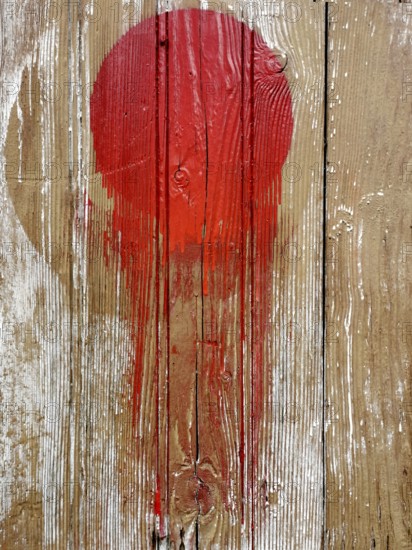A vivid red circular splash vividly contrasts against a rustic wooden background. The paint appears to drip slightly, enhancing the visual texture of the aged wood