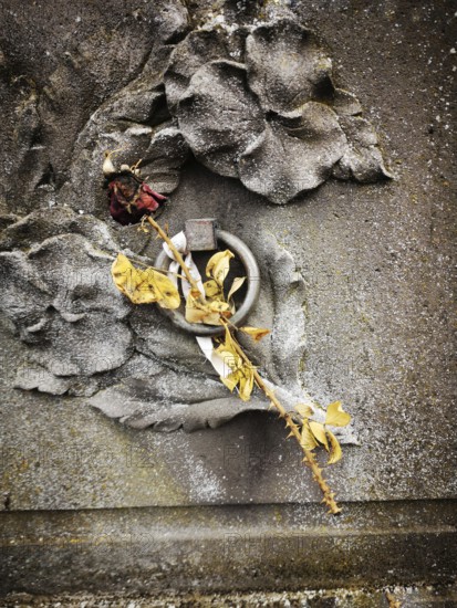 A dried rose with delicate yellow petals lies against a textured, weathered gravestone featuring intricate leaf designs, showing signs of age and neglect in a historic cemetery