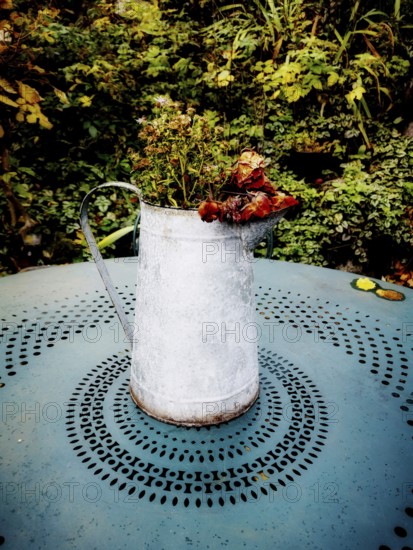 A weathered metal watering can holds dried flowers, placed on a turquoise table with intricate patterns. Lush greenery surrounds the setting, creating a rustic atmosphere