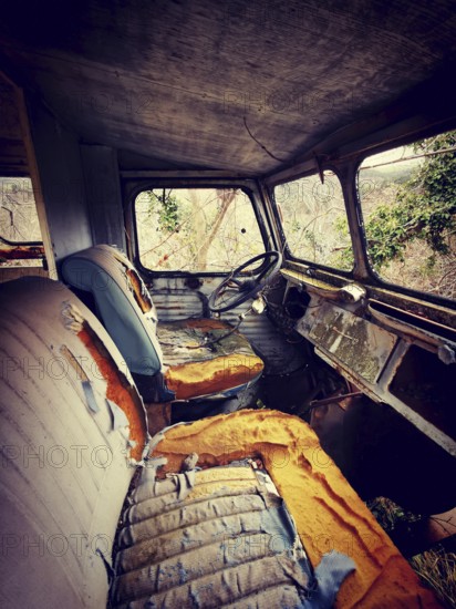 An abandoned truck interior shows worn-out seats and a dusty dashboard, surrounded by creeping vines and trees, capturing a moment of neglect in nature