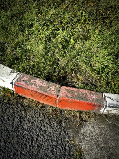 A weathered curb with patches of faded orange paint meets a vibrant patch of grass, blending urban elements with natural growth in a city environment