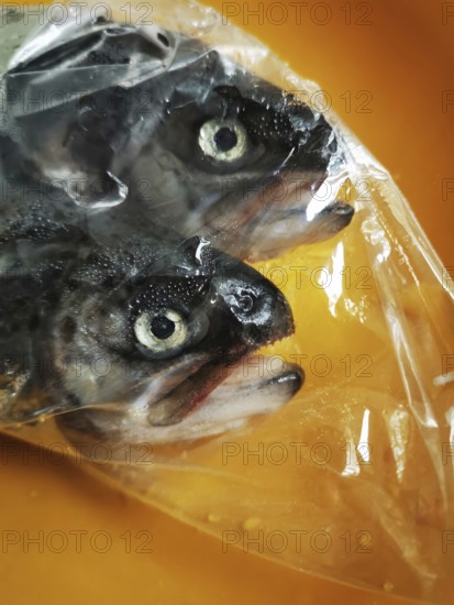 Two whole fish with dark skin and distinct eyes are packaged in transparent plastic, lying on an orange surface, showcasing their freshness at a local market