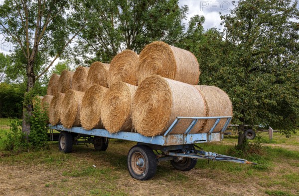 Straw bales on a trailer, agriculture in Hesse, Germany