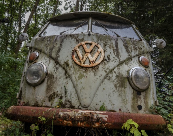 Old, weathered VW bus parked in a wooded area, Hesse, Germany