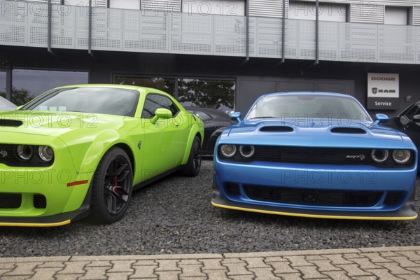Dodge Challenger for sale at the dealer in Mannheim
