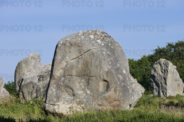 Megalithe, Alignements du Menec, Carnac, Department of Morbihan, Brittany, France